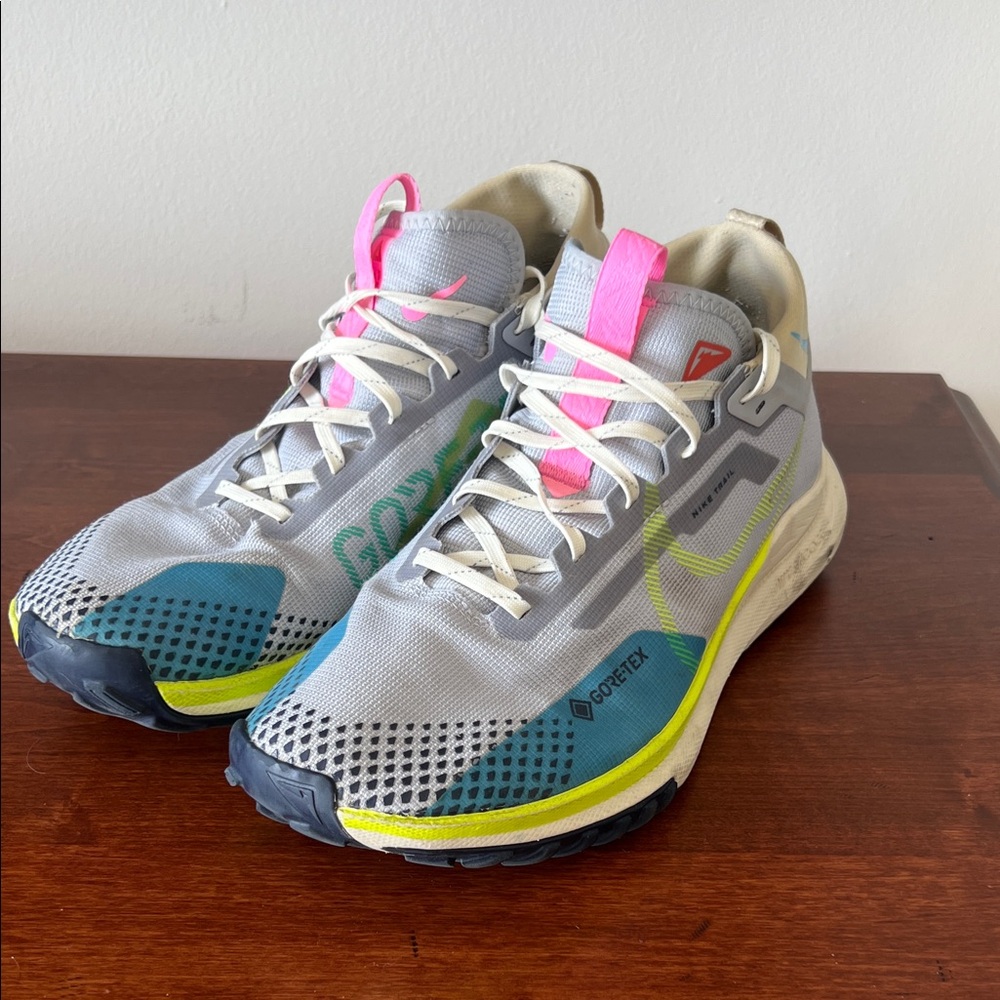 Nike Pegasus Trail 4 GORE-TEX